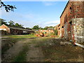 Distressed Buildings by Hackensall Hall