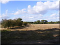 Footpath to Jacksons Road