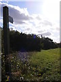 Footpath to Kirton Hall Lakes