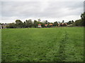 Footpath  toward  Lower  Dunsforth