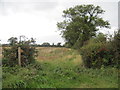 Footpath  to  Mary  Lane  Lower  Dunsforth