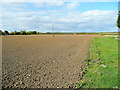 Ploughed field by Buttermilk Lane