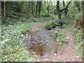 Ford and footbridge, Hawk Combe