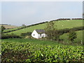 A traditional cottage on the lane running north to Grangicam