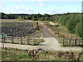 Footpath off new road