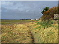 Wyre Way at Hambleton