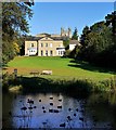 Ceddesfield Hall from the pond