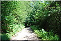 Bridleway to Sheephouse Lane