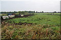 Pig farming on Great Woolden Moss