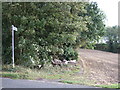 Footpath off Kirkgate Lane