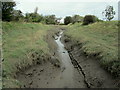 Horsebridge Dyke