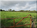 Cefn gwlad Eifionydd - Eifionydd countryside