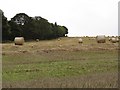 Round bales and a strip wood