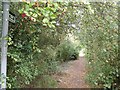 Bridleway near Hungram House