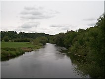 O0272 : The Boyne downstream of the Bru na Boinne bridge by Eric Jones
