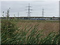 TQ5479 : Local train passing RSPB Rainham Marshes by PAUL FARMER