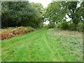 Shirley, footpath junction