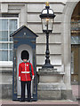 TQ2979 : Guard and Lamp - Buckingham Palace by Mick Lobb