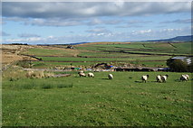 SD9547 : Farmland above Kirk Sykes Farm by Bill Boaden
