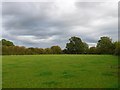 Countryside at Westend