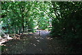 Path through Cannon Hill Park