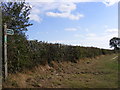 Footpath to Burnt House Lane