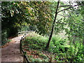 Path in Hollydale Recreational Grounds