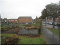 Allotments in the rain