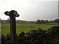 Footpath crossroads, and sheep