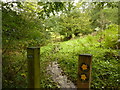 Footbridge over Coumes Brook