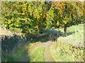 Blind Lane, Mytholmroyd