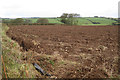 Copse near Lower Wadstray 