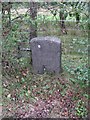 Milestone in Lower Brynamman