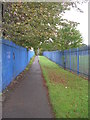 Footpath - off  Basil Street