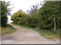 Footpath to Cottage Wood & Watermill Road