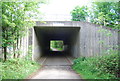 Downs Link under the A24