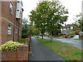 Pavement in Rock Lane