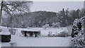 Slatch Coppice in the snow (2009)