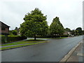 Junction of Cedars Way and Finch Crescent