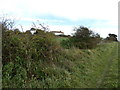 Houses on the site of the former Lewes racecourse grandstand