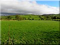 Gransha Townland