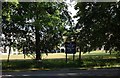 Moseley Ashfield Cricket Club