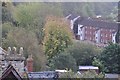 Tiverton : Trees & Flats