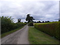 Sheepgate Lane, Lower Falkenham