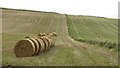 Straw bales, Newton of Inshewan