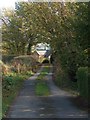 Track to houses off Millthorpe Lane