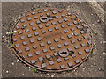 "Goodridge" manhole cover, Carrickfergus
