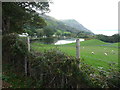 Graiglwyd Springs Fishing Pool, Penmaenmawr