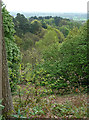 View from the Terrace, Dorking (1)