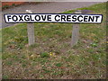 Foxglove Crescent sign